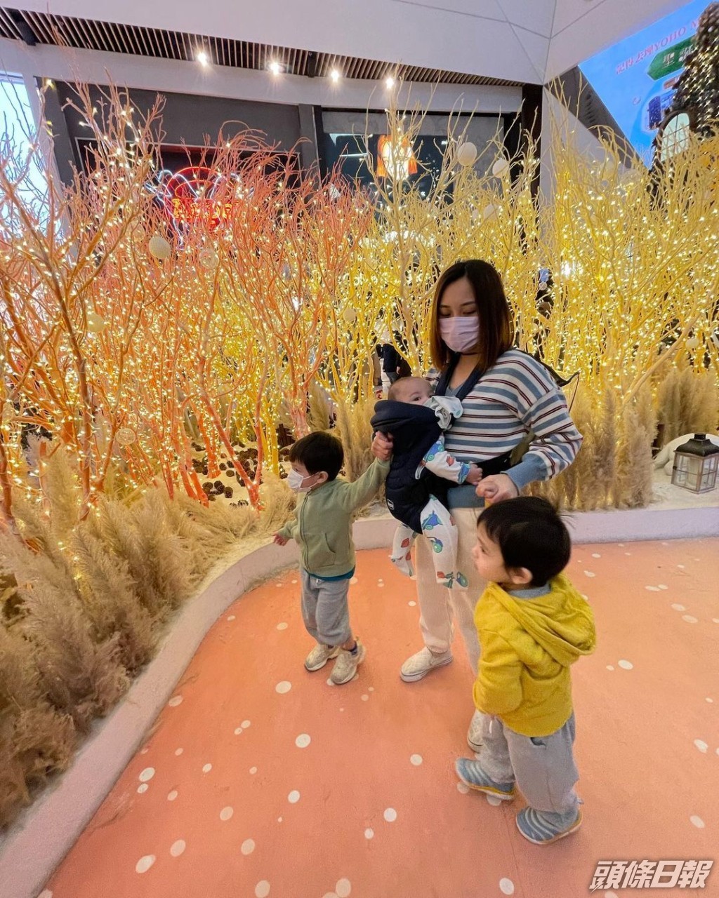 雯雯為張致恒三年抱三。